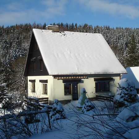 Erzgebirgsdomizil Am Schwartenberg Neuhausen  Εξωτερικό φωτογραφία