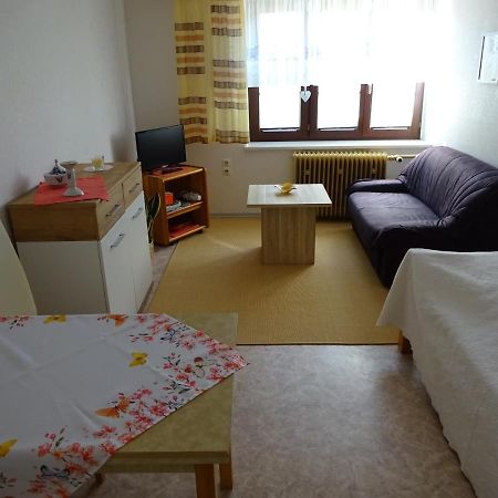 Erzgebirgsdomizil Am Schwartenberg Neuhausen  Εξωτερικό φωτογραφία