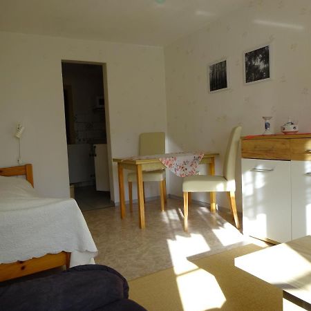 Erzgebirgsdomizil Am Schwartenberg Neuhausen  Εξωτερικό φωτογραφία