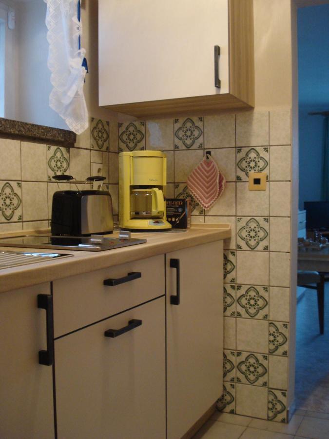 Erzgebirgsdomizil Am Schwartenberg Neuhausen  Εξωτερικό φωτογραφία
