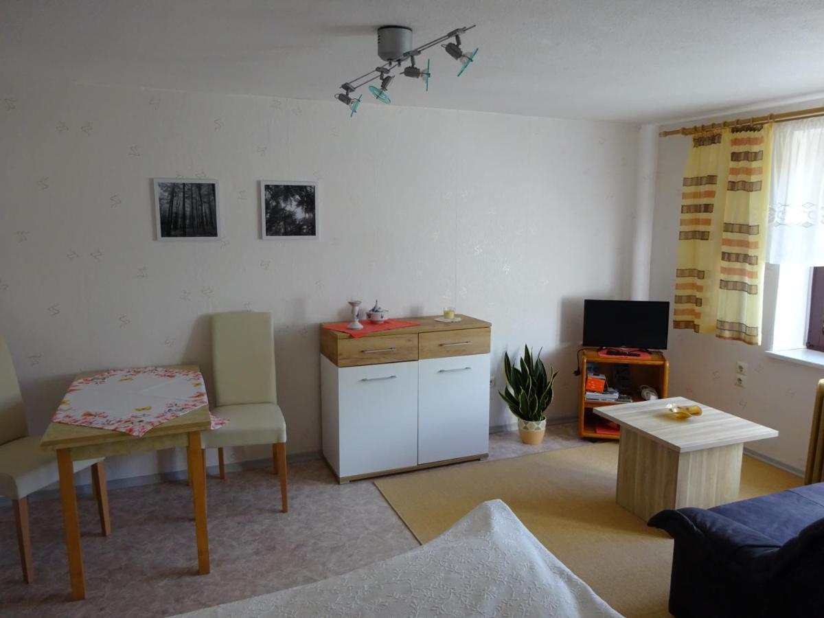 Erzgebirgsdomizil Am Schwartenberg Neuhausen  Εξωτερικό φωτογραφία