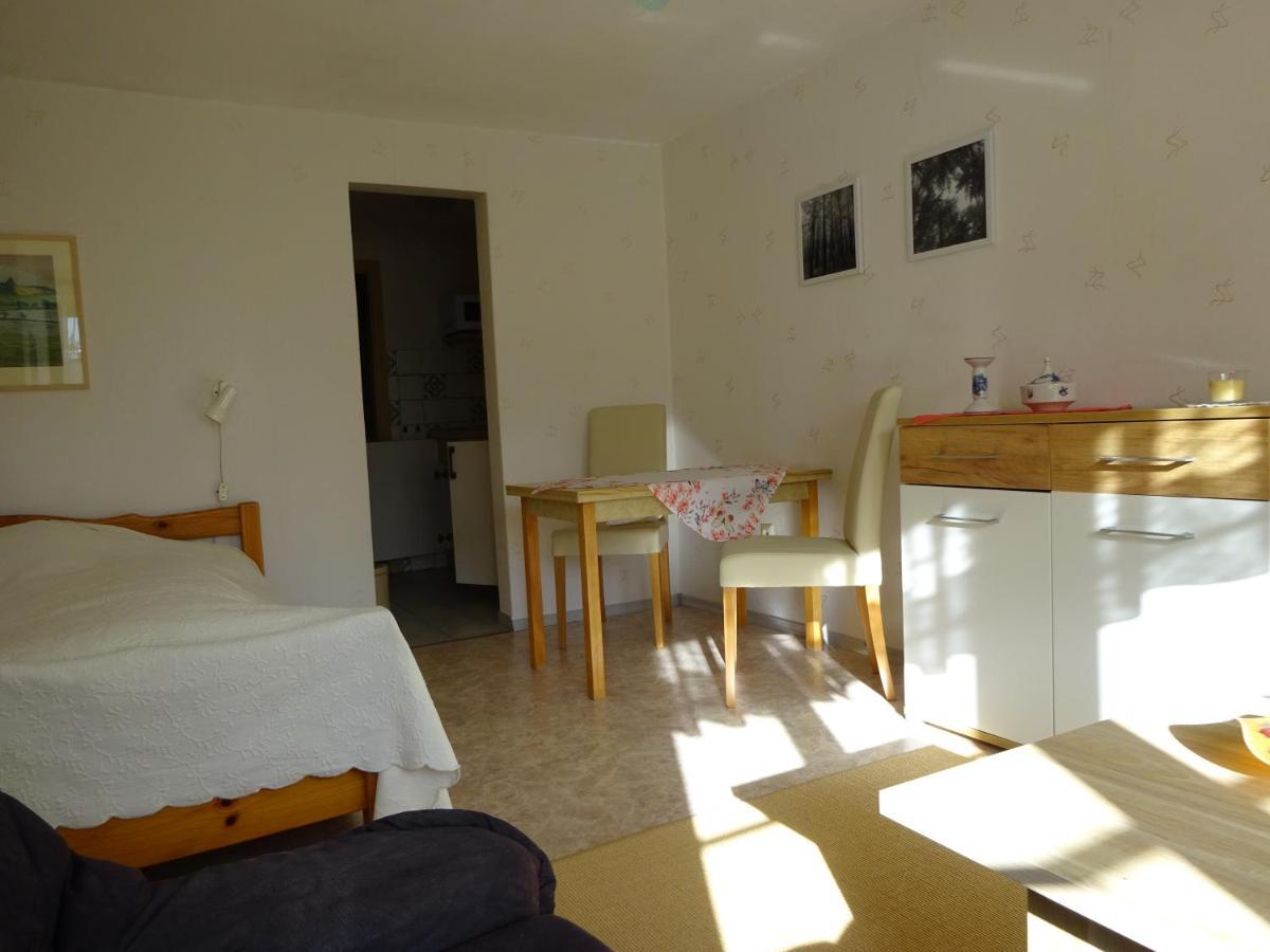 Erzgebirgsdomizil Am Schwartenberg Neuhausen  Εξωτερικό φωτογραφία